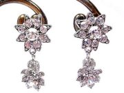 �X�����t�X�L�[�E���C���X�g�[���ƃr�[�Y�̃l�b�N���X