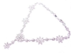 �X�����t�X�L�[�E���C���X�g�[���̃l�b�N���X