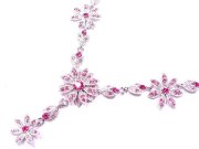 �X�����t�X�L�[�E���C���X�g�[���ƃr�[�Y�̃l�b�N���X