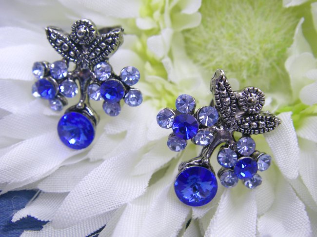 �X�����t�X�L�[�E���C���X�g�[���@�s�A�X