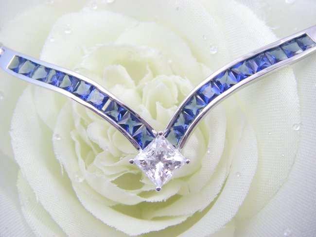 �T�t�@�C��CZ�E�A�N�Z�T���[�@�l�b�N���X